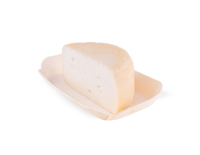 Domitilla